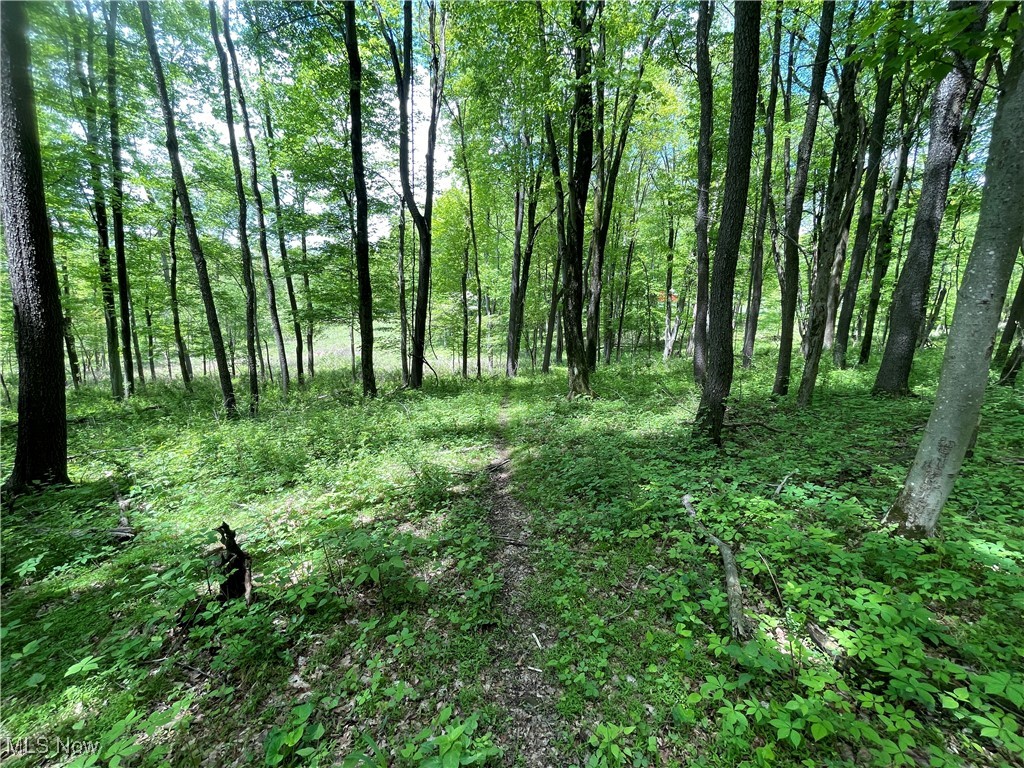 12929 Pleasant Valley Road Rd, Utica, Ohio image 29
