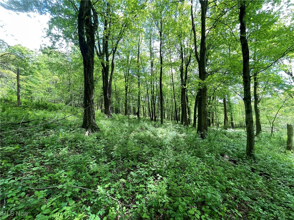 12929 Pleasant Valley Road Rd, Utica, Ohio image 28