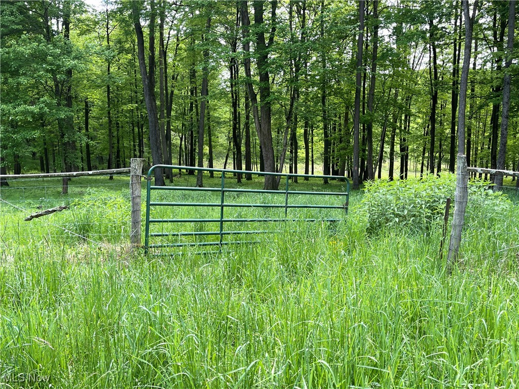12929 Pleasant Valley Road Rd, Utica, Ohio image 24