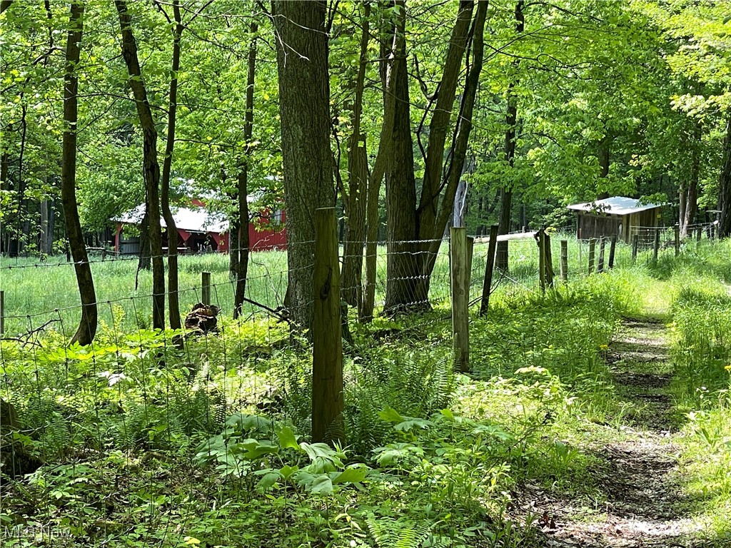 12929 Pleasant Valley Road Rd, Utica, Ohio image 18