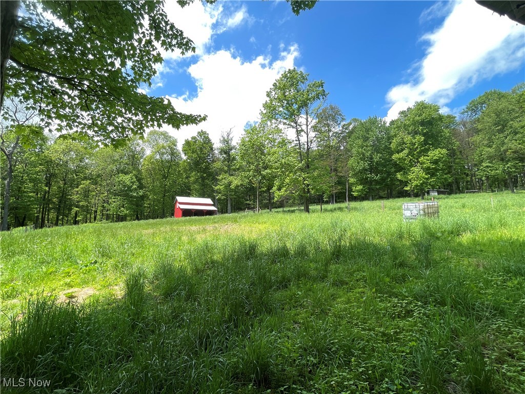 12929 Pleasant Valley Road Rd, Utica, Ohio image 37