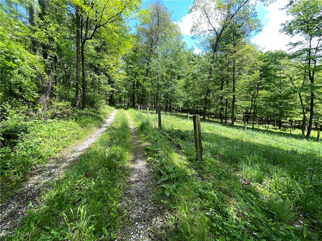 12929 Pleasant Valley Road Rd, Utica, Ohio image 4