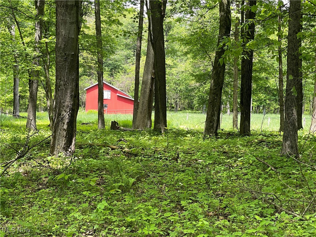 12929 Pleasant Valley Road Rd, Utica, Ohio image 1