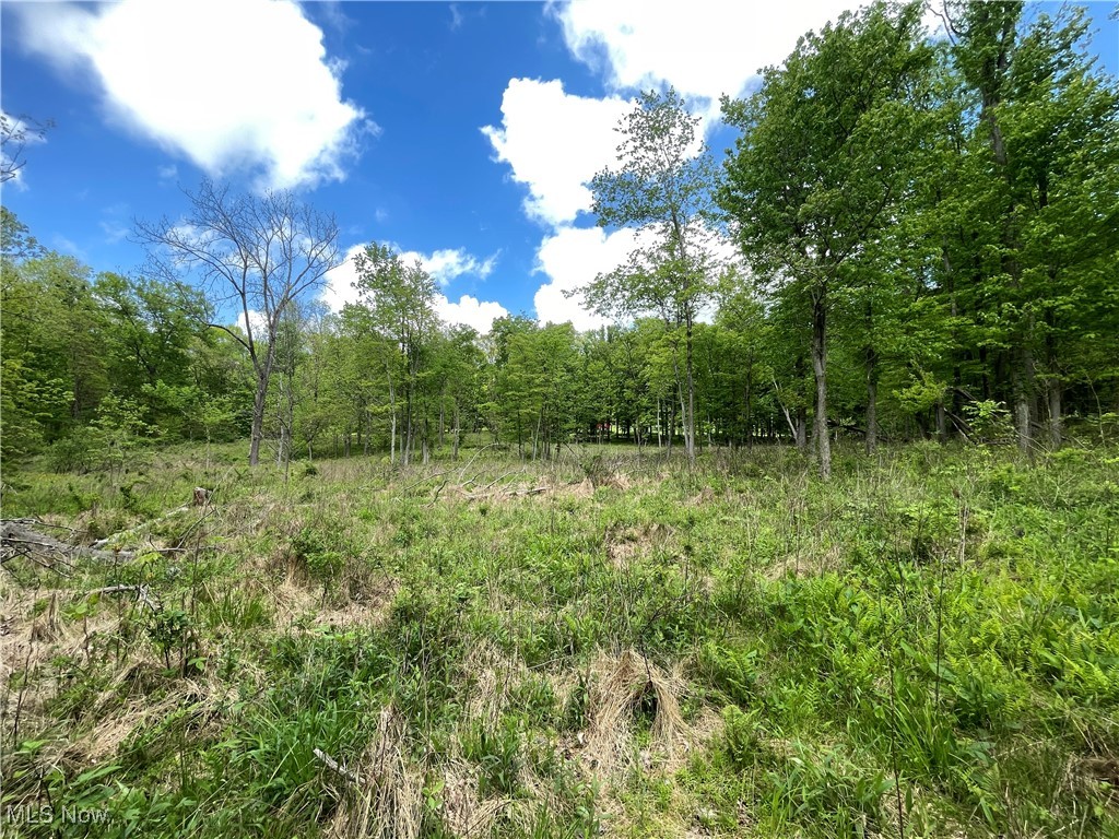 12929 Pleasant Valley Road Rd, Utica, Ohio image 32