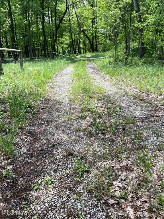 12929 Pleasant Valley Road Rd, Utica, Ohio image 15