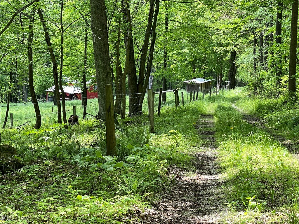 12929 Pleasant Valley Road Rd, Utica, Ohio image 30