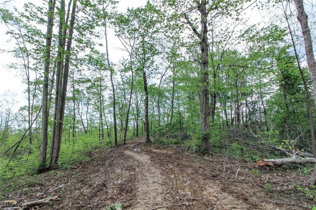 Tract 3 State Route 668, New Straitsville, Ohio image 21