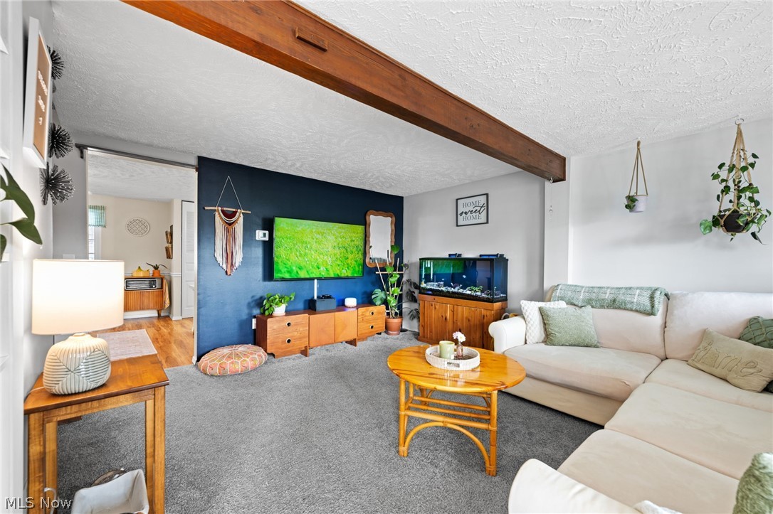 Chestnut Commons - Residential