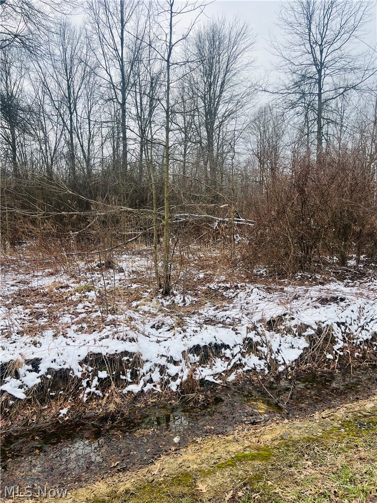 Lot 134 Breezewood Lane