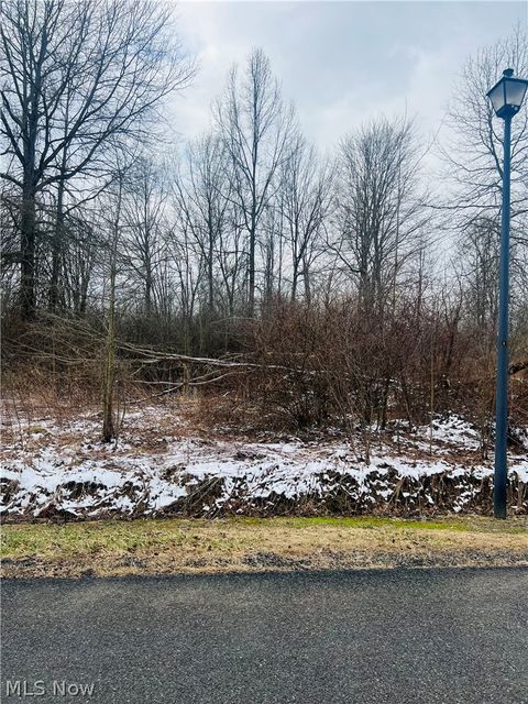 Vacant Land For Sale - LOT 134 Breezewood Lane<br/> Ashtabula County, Orwell, OH 44076