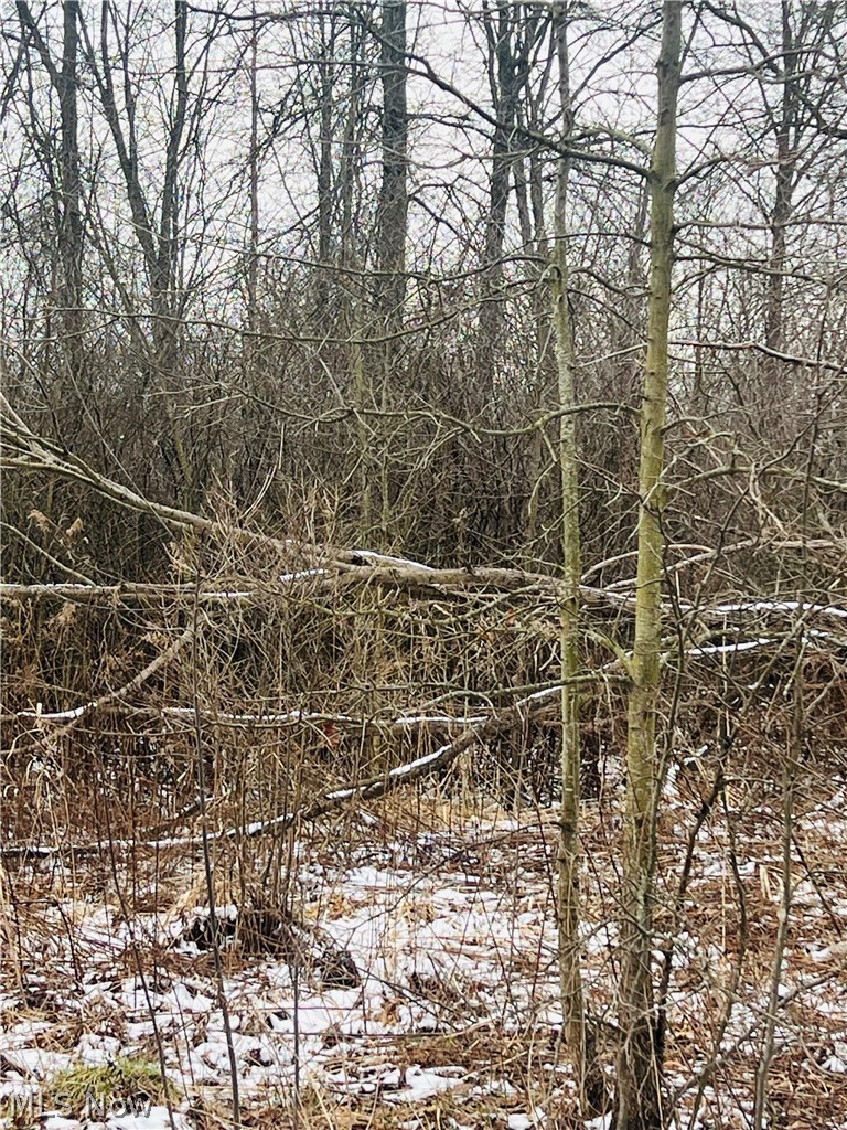 Lot 134 Breezewood Lane