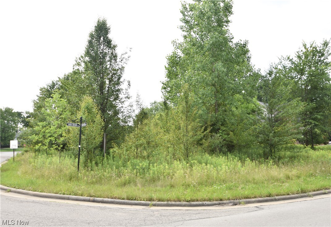 Layer Road, Leavittsburg, Ohio image 2