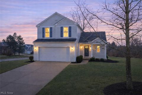 Photo of 3516 Trailview Court, Brunswick, OH 44212 (MLS # 5188093)