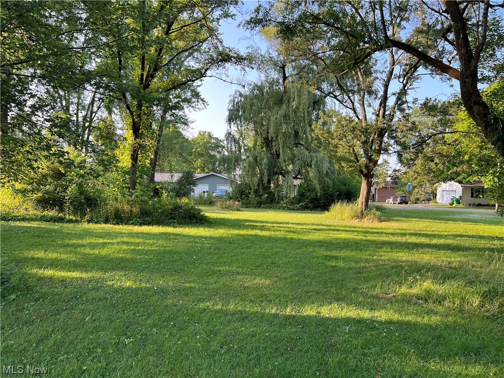 Beautiful level lot in the village of Bolivar. 127x120 lot accessible from Grand Ave and Johnson Alley. Property is zoned R-2.