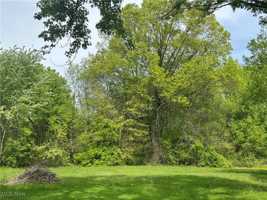 4759 Damon Avenue, Warren, Ohio image 21