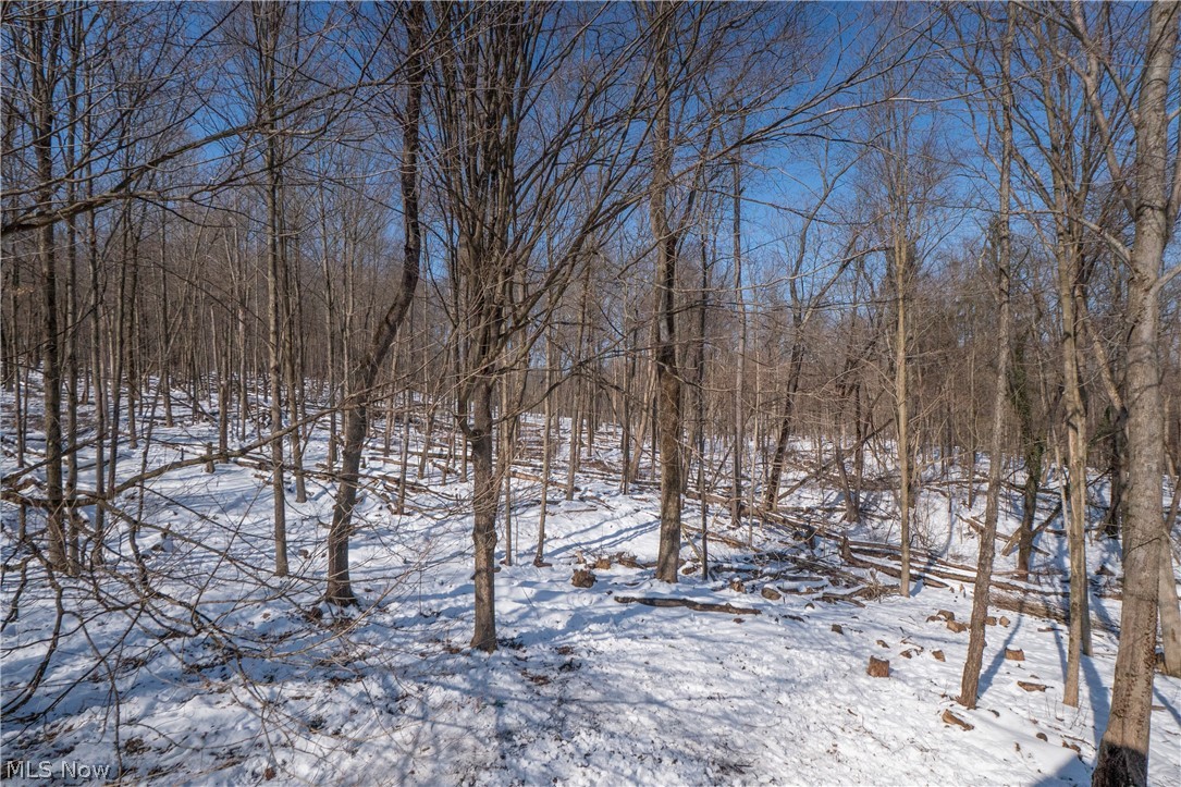 Montville - Residential