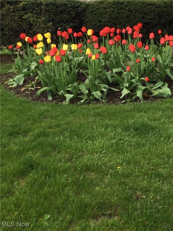 West Manor - Residential