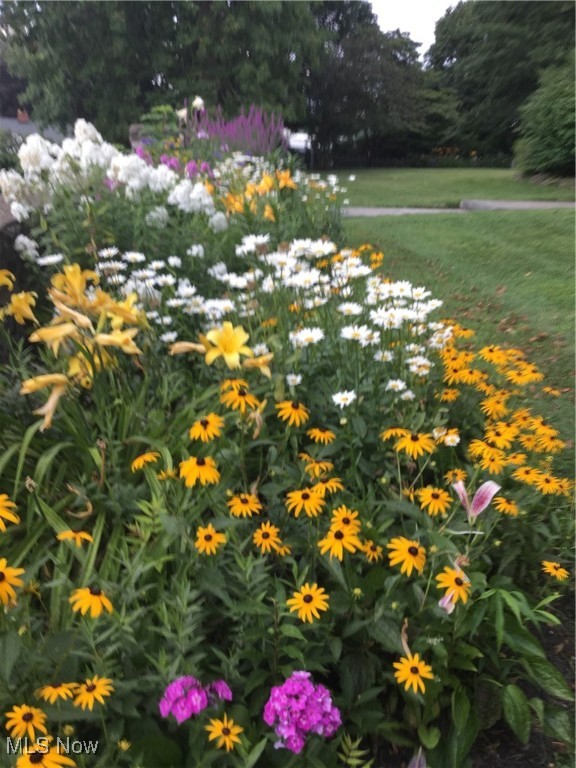 West Manor - Residential