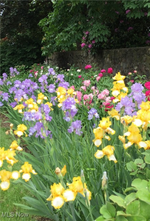 West Manor - Residential