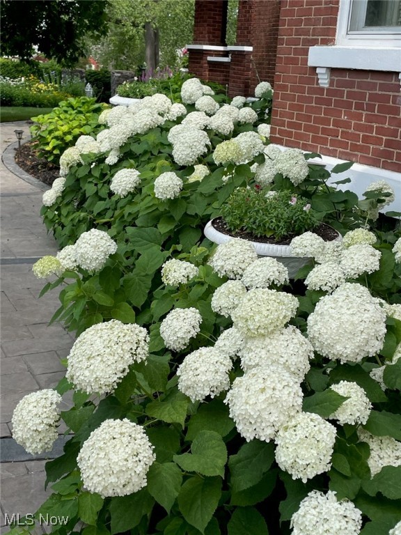 West Manor - Residential