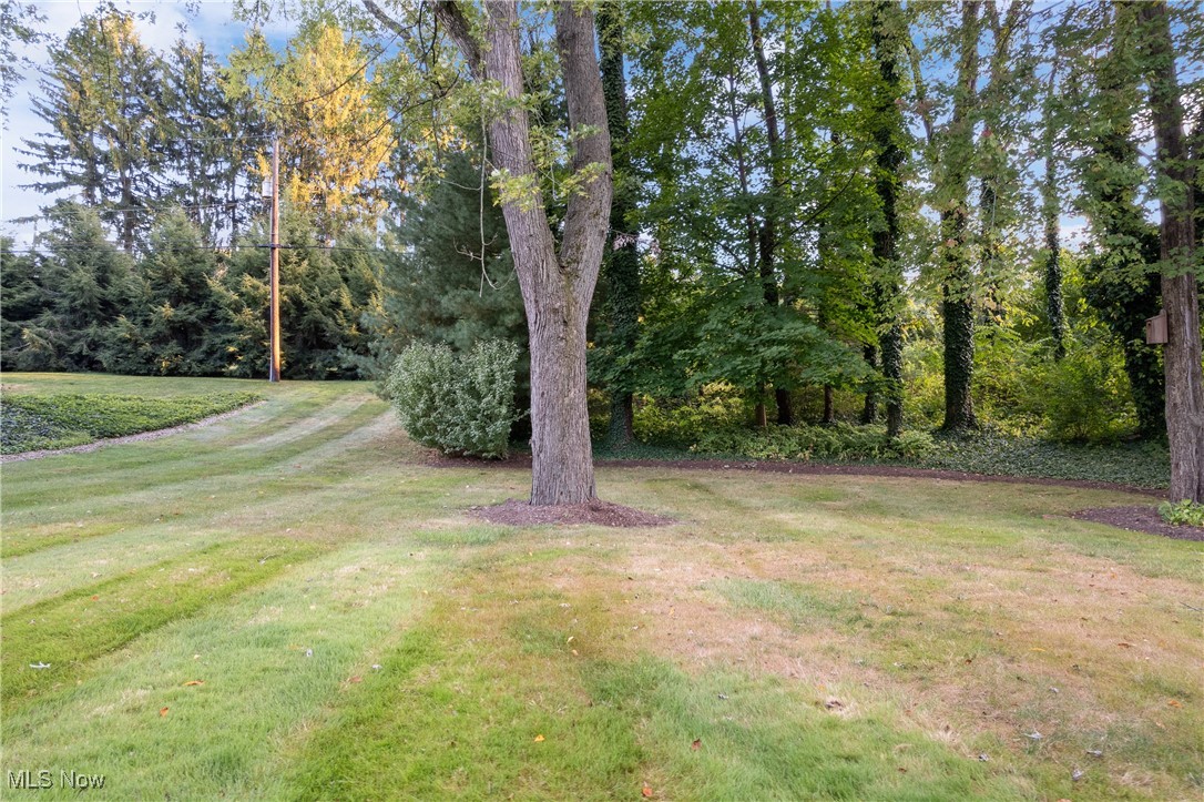 Avondale - Residential