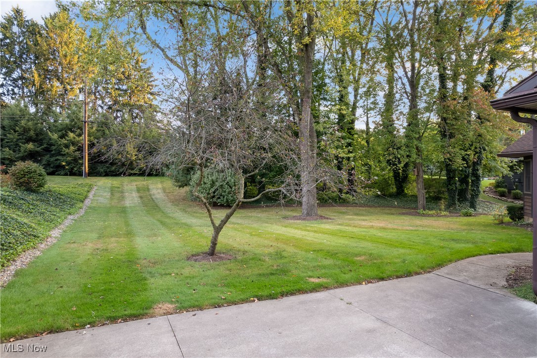 Avondale - Residential