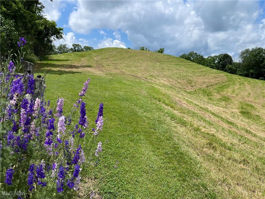 LIVE ONSITE AUCTION TUESDAY JULY 15TH 5PM CONTENTS 6PM REAL ESTATE OPEN HOUSE TUESDAY JULY 1ST 4-6PM
Parcel 2 Consist of a 5+/- acre building lot that also has amazing views. This parcel is mostly open with some wooded area.
