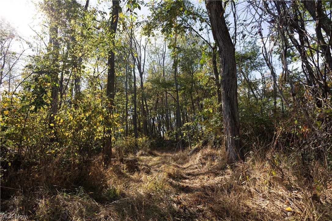 US Military Lands - Land