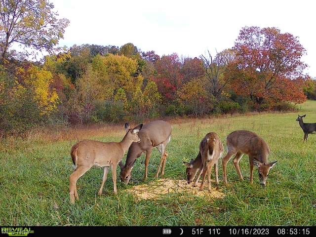 US Military Lands - Land