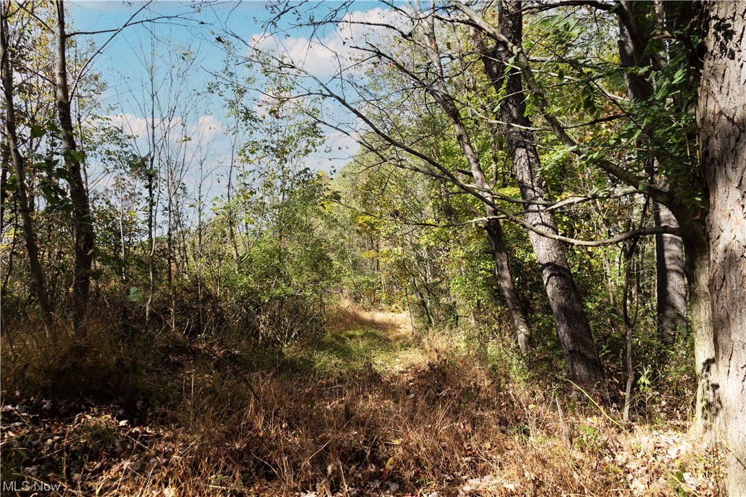 US Military Lands - Land