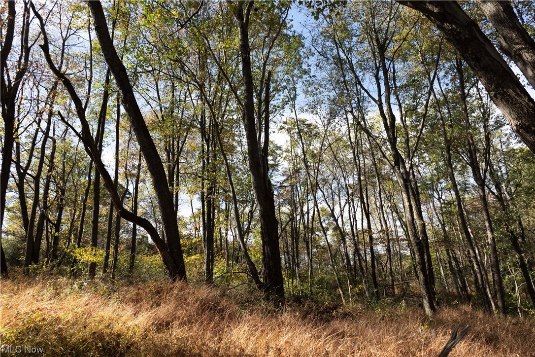 US Military Lands - Land