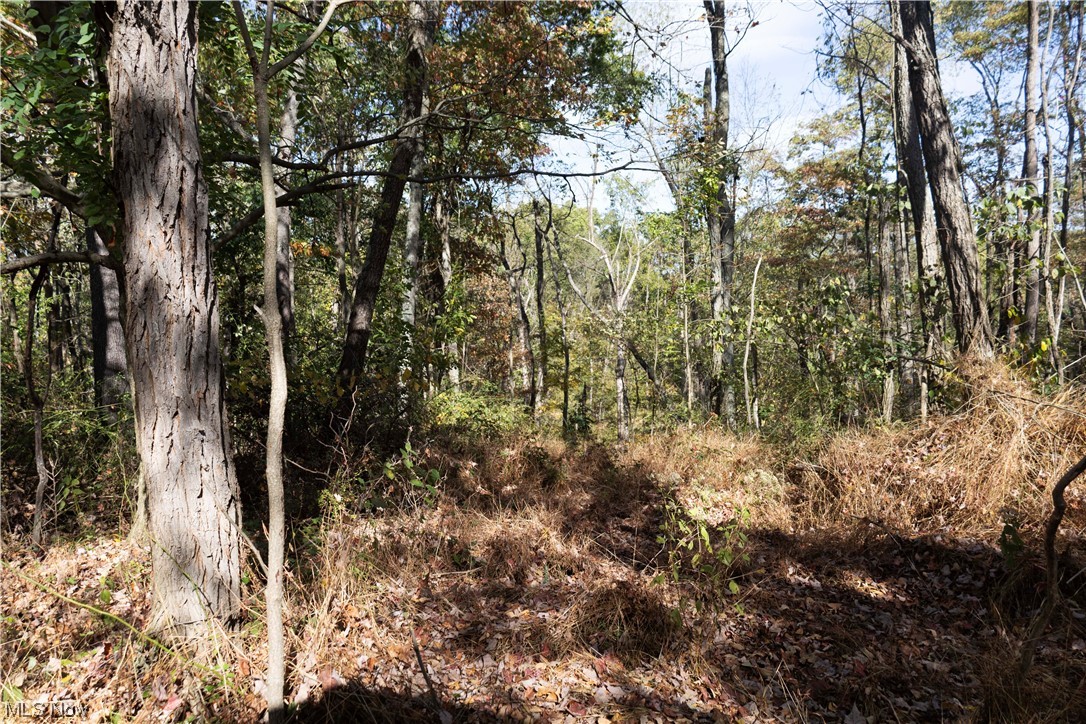 US Military Lands - Land