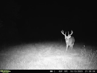 US Military Lands - Land