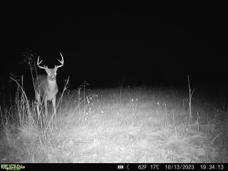 US Military Lands - Land