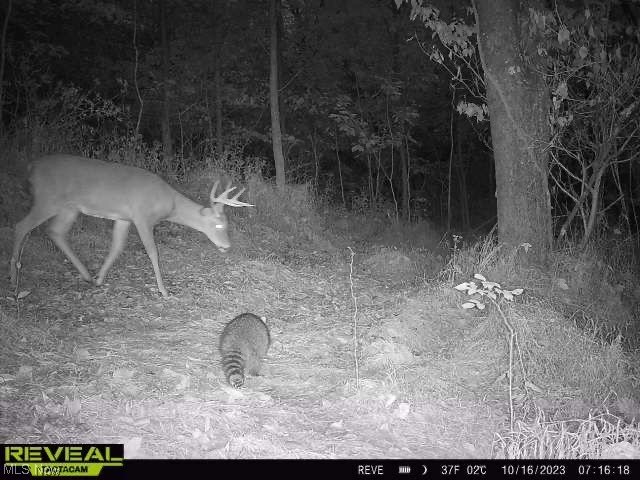 US Military Lands - Land