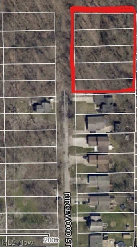 Vacant Land For Sale - VL Ridgewood Street<br/> Lorain, OH 44055