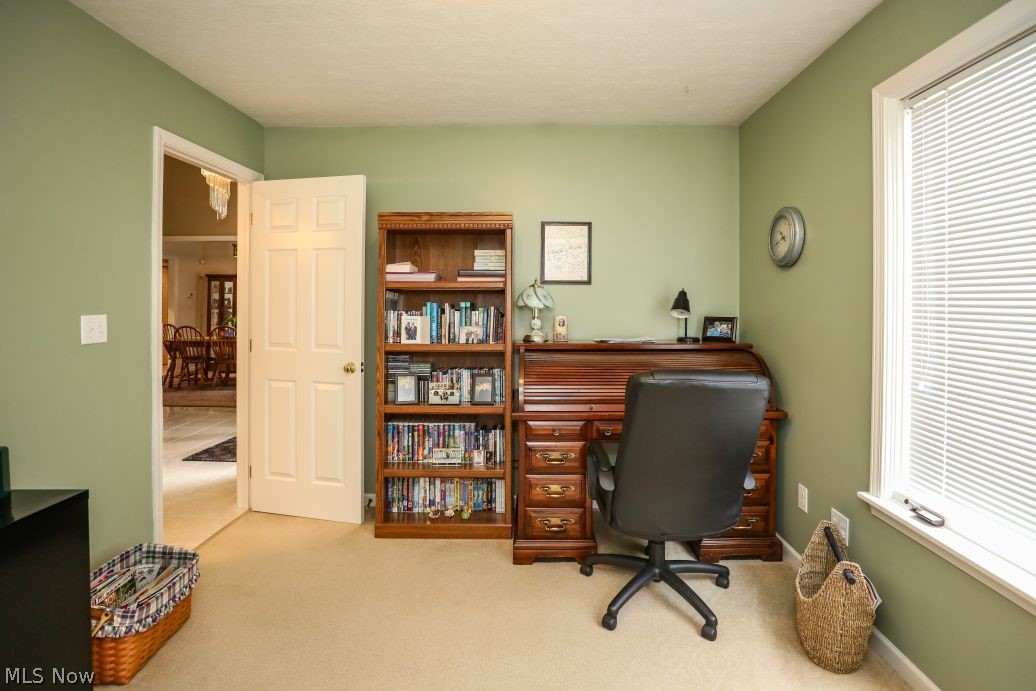 Springtree - Residential