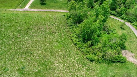 Vacant Land For Sale - 63620 Wintergreen Road<br/> Lore City, OH 43755