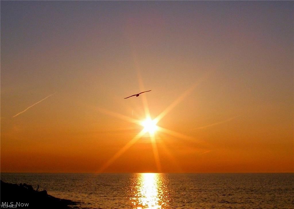 Utopia Beach - Residential