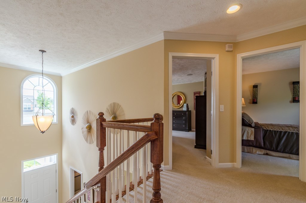 Waite Farms - Residential