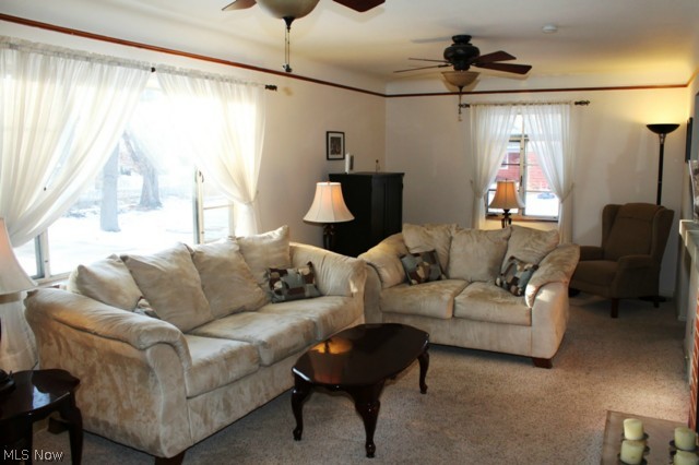 Beech Lane - Residential