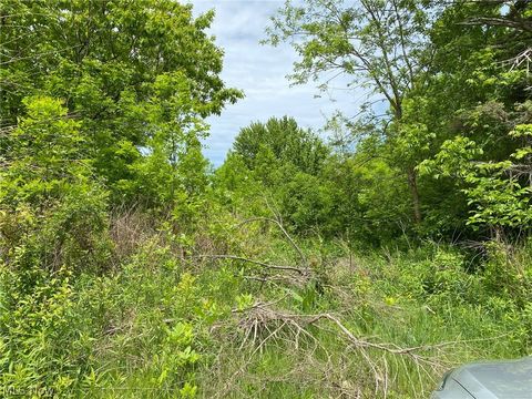 Vacant Land For Sale - 5323 N River State Rd 307 Road<br/> Ashtabula County, Geneva, OH 44041