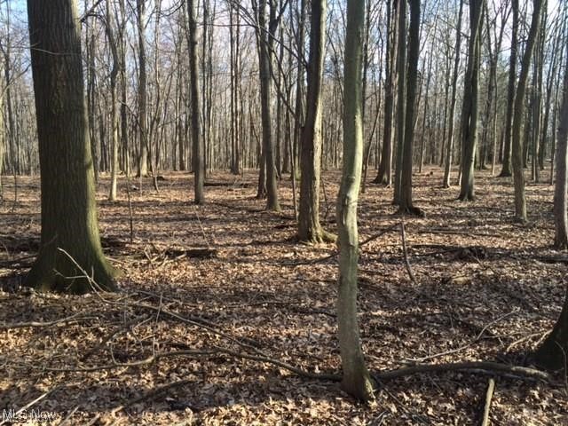 This unique offering includes two parcels—one approximately 3.15 acres, the other 2.21 acres—for a total of 5.36 acres with endless potential. Whether you're looking to create a private retreat, build multiple homes, or simply invest in land, this property offers the flexibility and space to bring your vision to life.
Enjoy a peaceful setting with the convenience of nearby shopping, dining, schools, parks, and easy highway access.
Opportunities like this are few and far between—don’t miss your chance to own a rare piece of Strongsville.