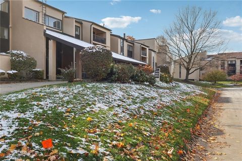 1006 Bunker Drive 204 Fairlawn OH 44333