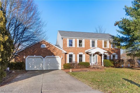 491 Millbrook Street, Canfield, OH 44406 - MLS#: 5099211