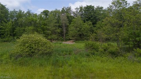 Tiny photo for Briggle Avenue SW, East Sparta, OH 44626 (MLS # 5221597)