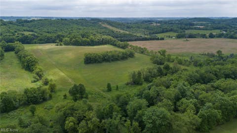 Tiny photo for Briggle Avenue SW, East Sparta, OH 44626 (MLS # 5221597)