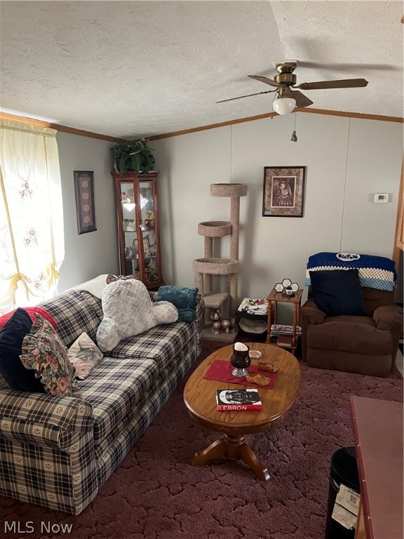 Township/Mentor - Residential