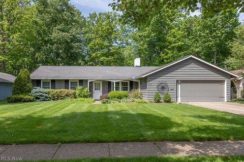 Homes For Sale - 676 Wyleswood Drive<br/> Berea, OH 44017