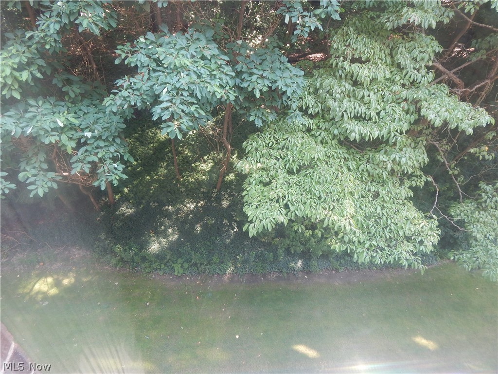 Silver Lake Towers Condo - Residential